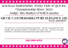 Class 11a - Gr Ch. C.I.B Pradakka Pure Elegance (AI).png